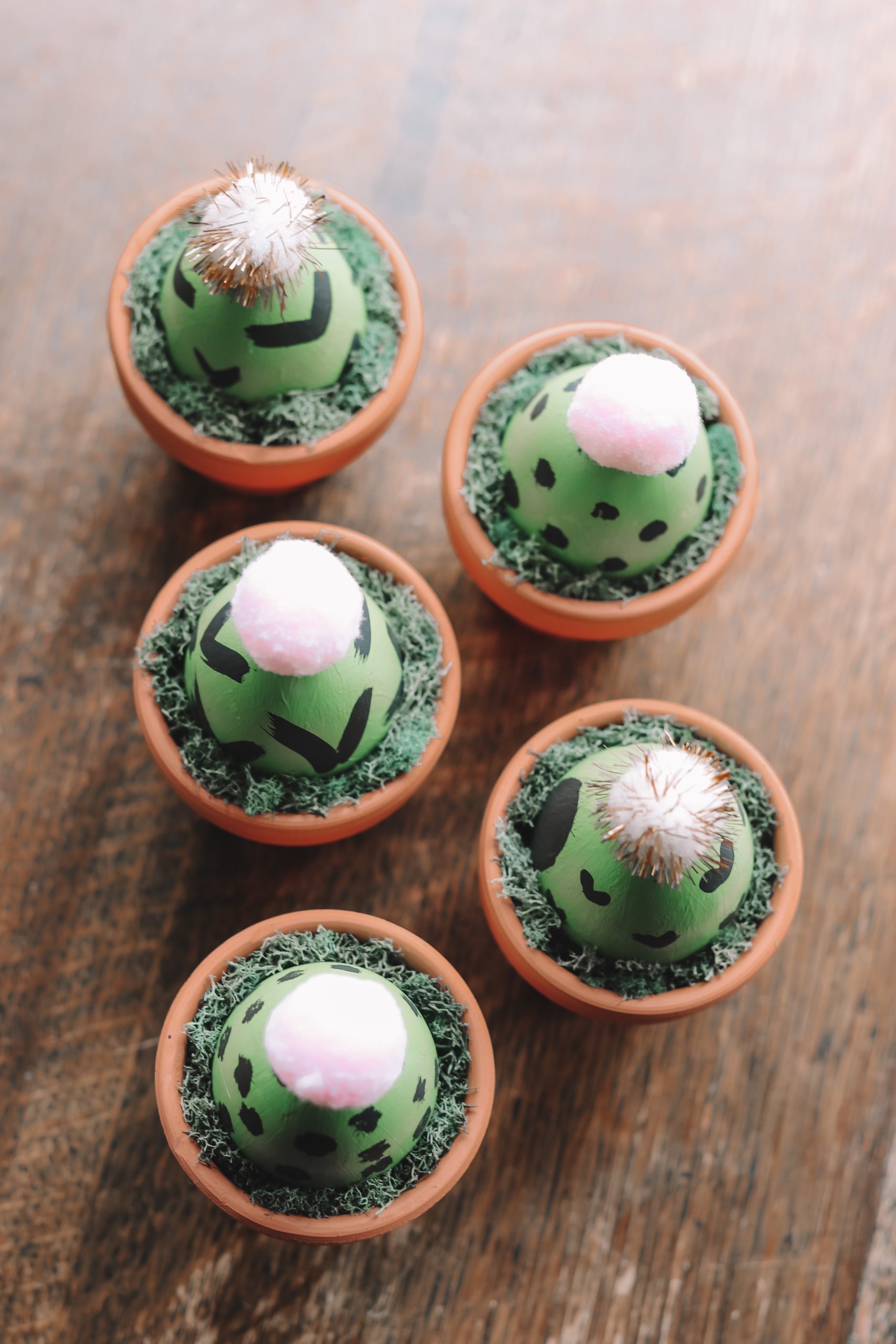 DIY Spring Cactus Craft